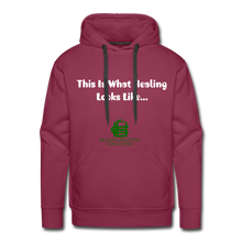 Load image into Gallery viewer, Men's Premium Hoodie - burgundy
